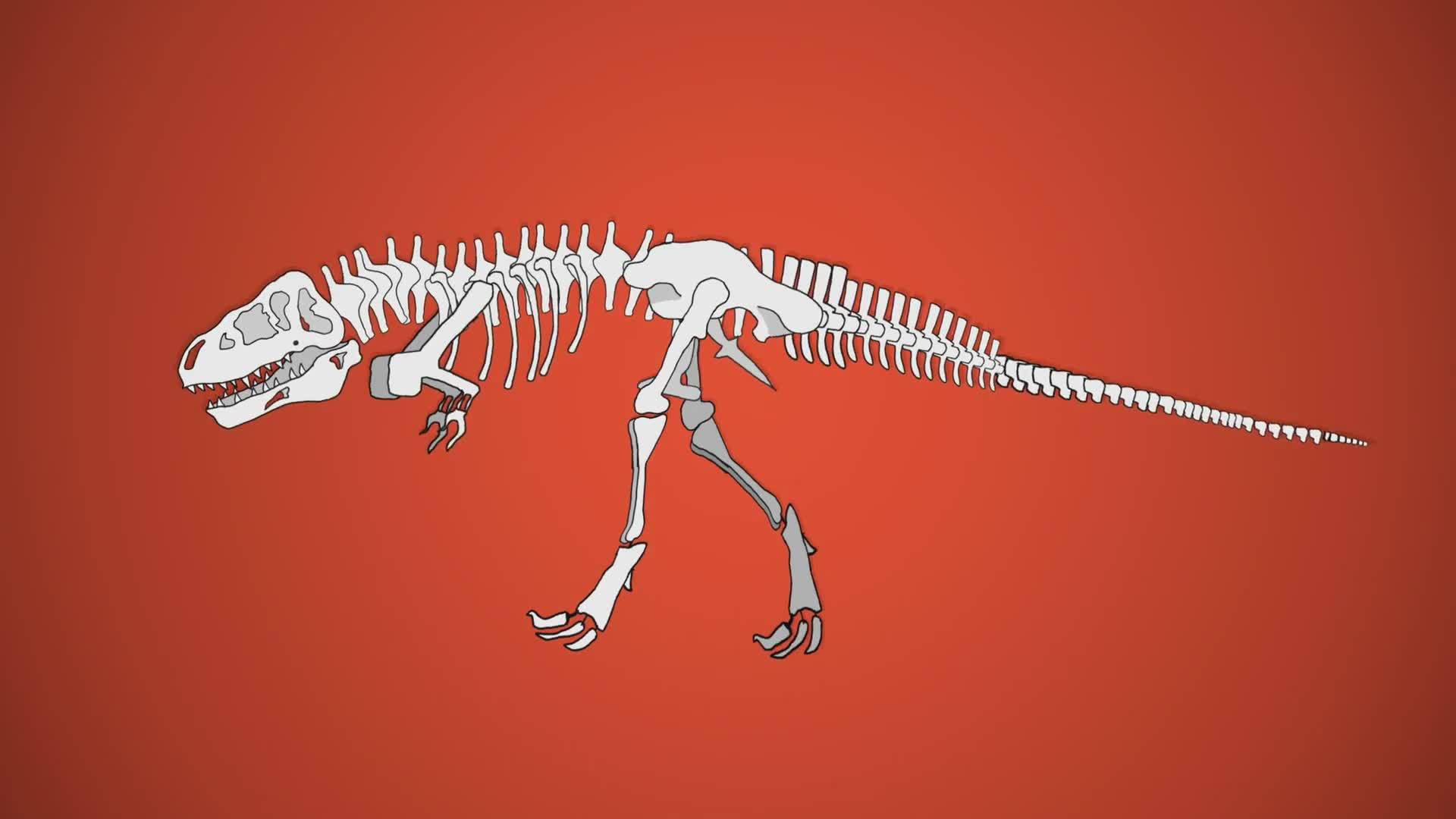 Science Kids: Coolest and Scariest Dinosaurs 